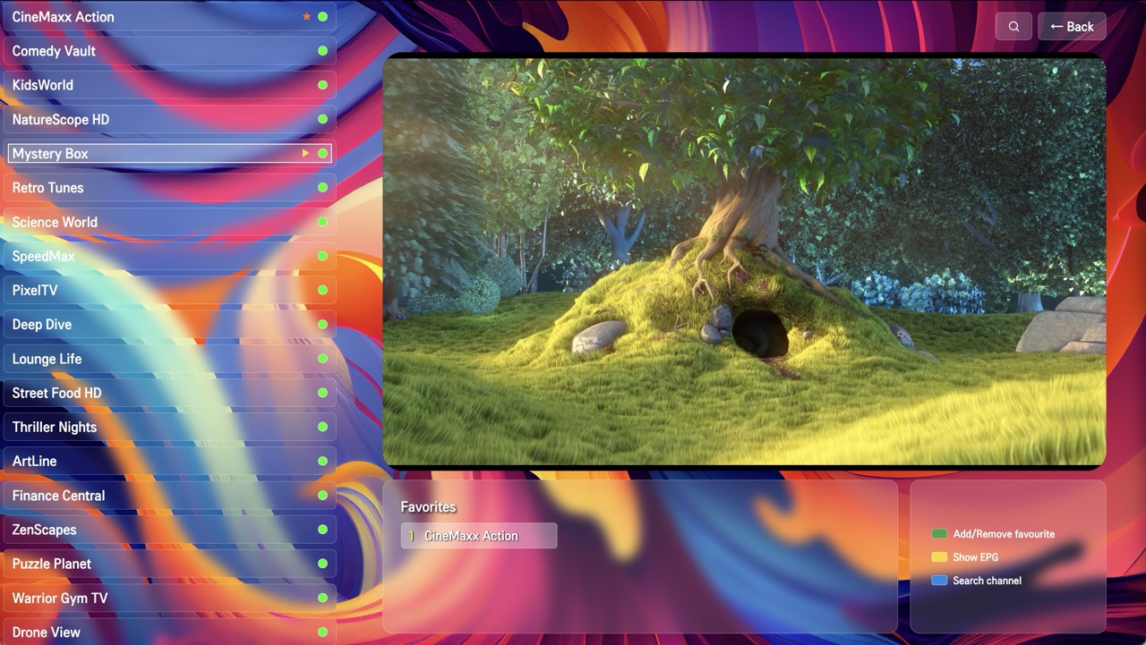 The Best IPTV Player settings menu on LG TV